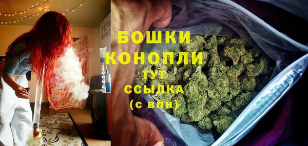 соль ск Арсеньев