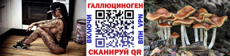 Галлюциногенные грибы прущие грибы  Узловая 